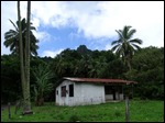 Rarotonga