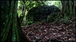 Rarotonga, The Needle