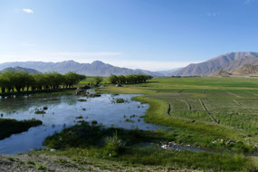 China,Tibet,Shigatse-New TingriChina,Tibet,Shigats