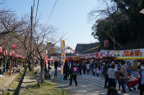 Cant have sakura viewing without 1000 food vendors