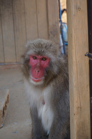 ...but this one was friendly