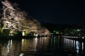 It really was exceptionally pretty
