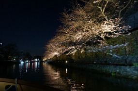 The boat passes close to the overhanging blossoms