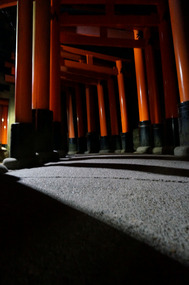The lighting through the tori gates