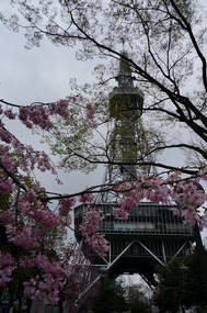 Nagoya Central Park