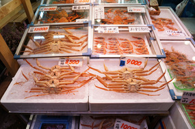 And some slightly less spritely crustaceans