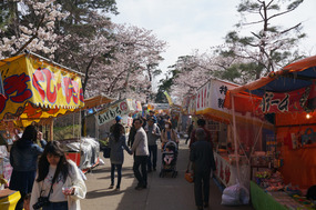 Sakura festival & the mandatory street food stalls