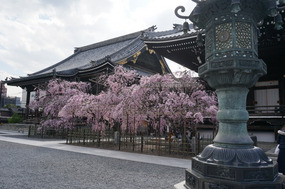 Shibuyasan Bukko Temple