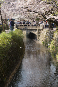 Philosophers path. Very pretty, but very crowded
