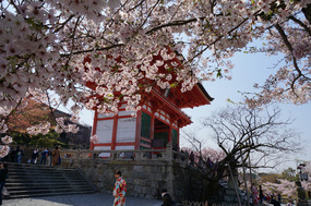 The Kiyomizu main gate