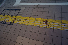 Near our hotel. Something bad went down here...