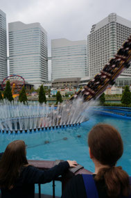 The overpriced rollercoaster takes the plunge