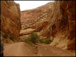 Capitol Reef National Park1