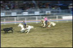 The chase