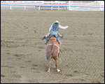 Yeehaaa