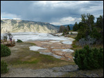 Mammoth Hot Springs5
