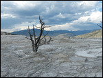 Mammoth Hot Springs6