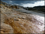 Mammoth Hot Springs8