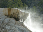 Mammoth Hot Springs9