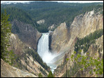 Yellowstone Falls