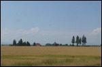 On the way to White Fish