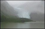 Bear Glacier nr Stewart