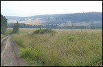 Mountain meadows
