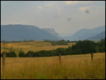 Mountain meadows2
