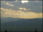 Mountain meadows8