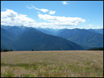 Hurricane Ridge2