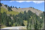 Hurricane Ridge6