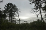 Ruby Beach16