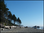 Ruby Beach6