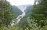 Mount Rainer National Park2