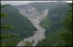 Mount Rainer National Park3