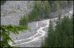 Mount Rainer National Park4