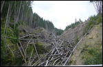Mount St Helens