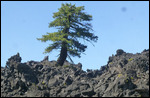 Ancient Lava Flows