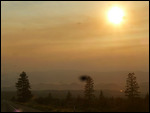 California through the Smoke