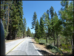 Road to Tioga pass