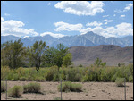 Mount Whitney1