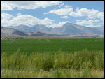 Owen's Valley