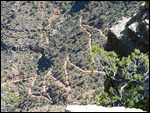 Above Angel Bright Trail 