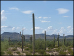 Desert