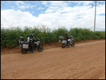 Back track