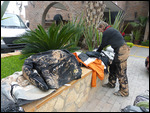 Clean up starts