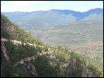 Devils backbone