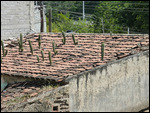 Like the roof tiles