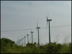 Windfarm
