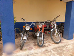 Collection1